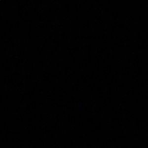 Meet your Posher, Aslan